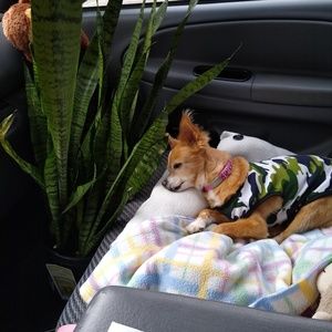 Meet your Posher, Leah